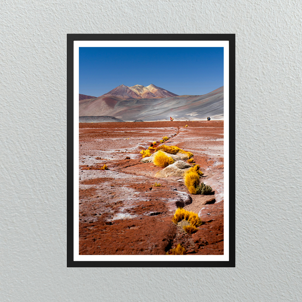 Piedras Rojas – Salar del Carmen