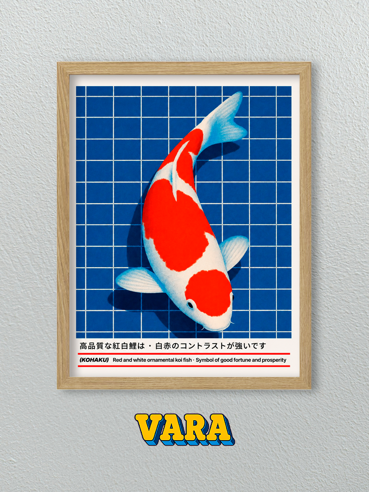 Cuadro Pez Kai Ilustración