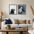 Conjunto Costa – Lobo Marino & Conchas