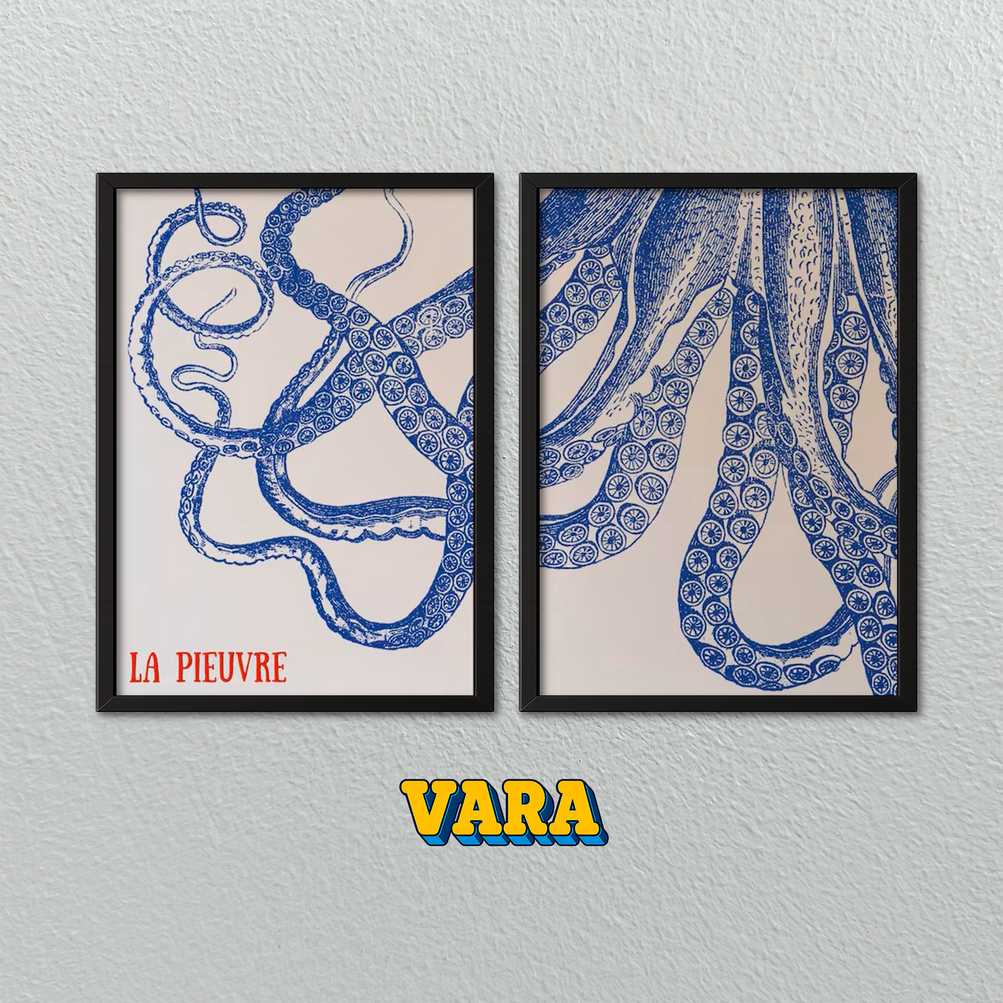 Conjunto Pulpo Azul