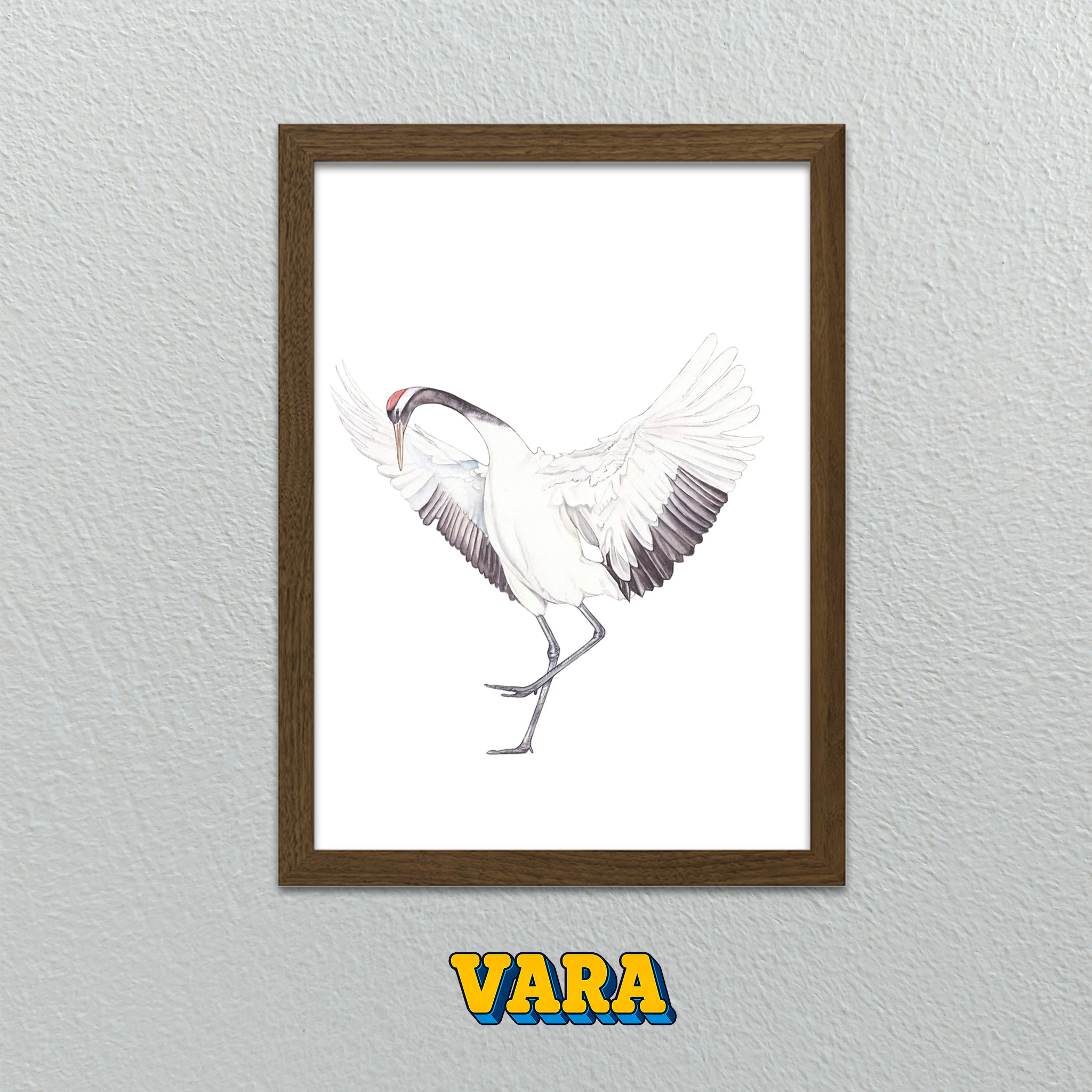 Cuadro Ave Dibujada Ilustración