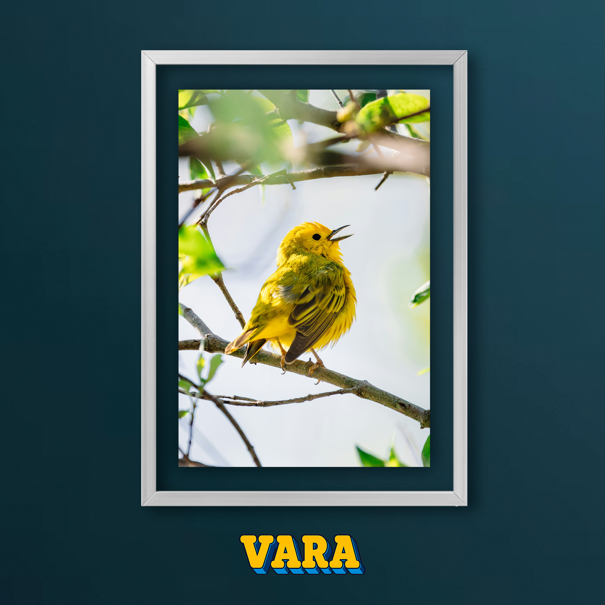 Cuadro Pajaro Amarillo